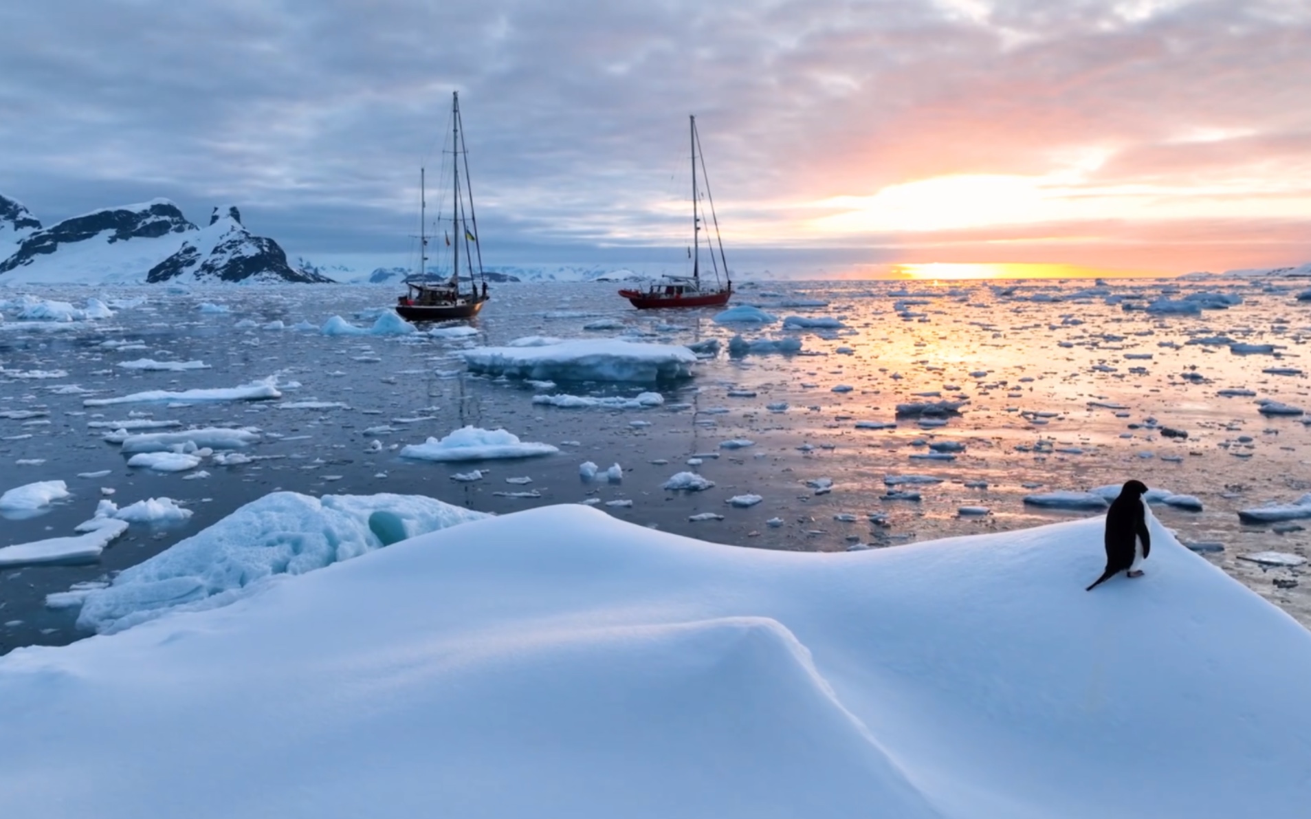 【4k超清】南极洲美丽的风景