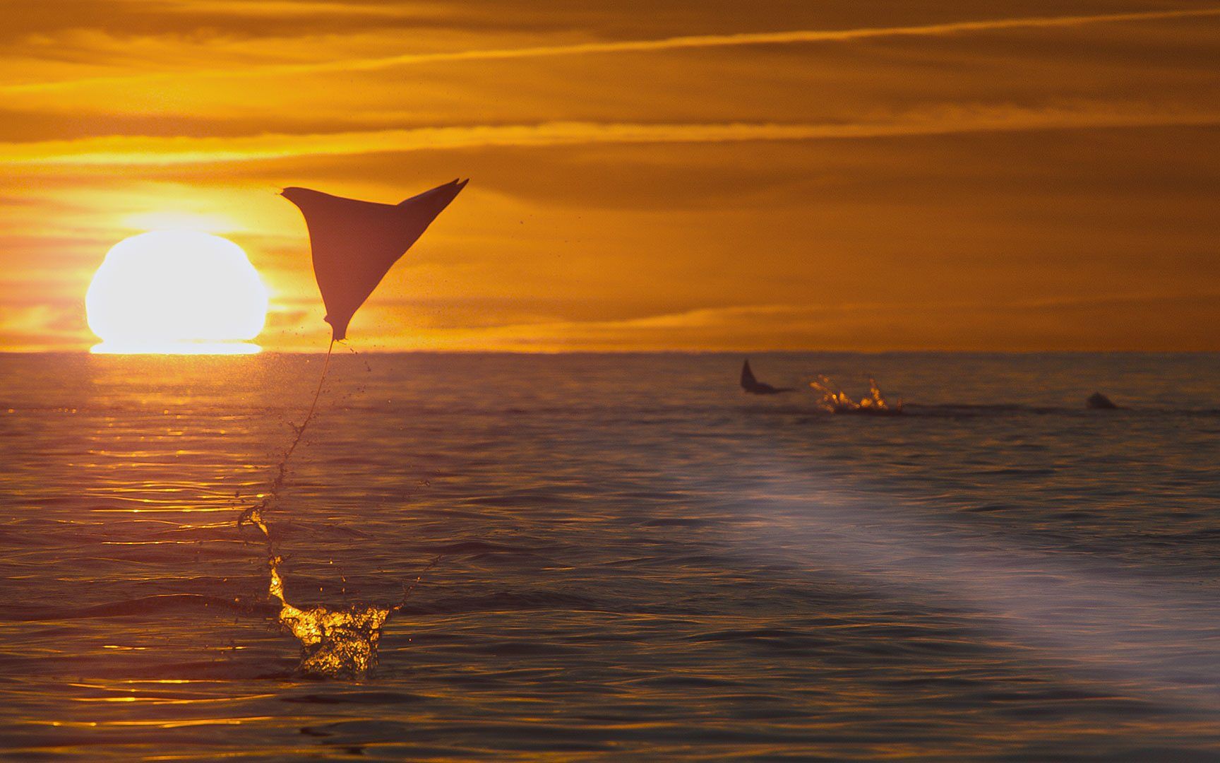 地球脉动/行星地球.s03e02.2023[imdb 9.4][片头][高清][英字]