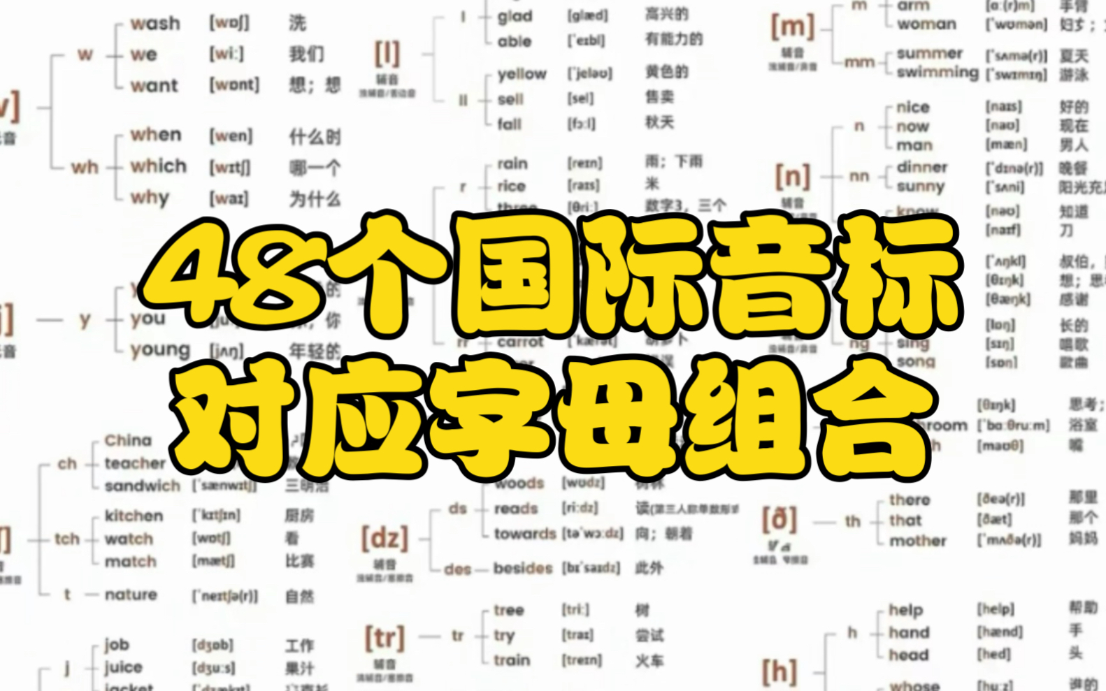 英语入门必必备!48个国际音标对应字母组合表!纯!干!货!哔哩哔哩bilibili