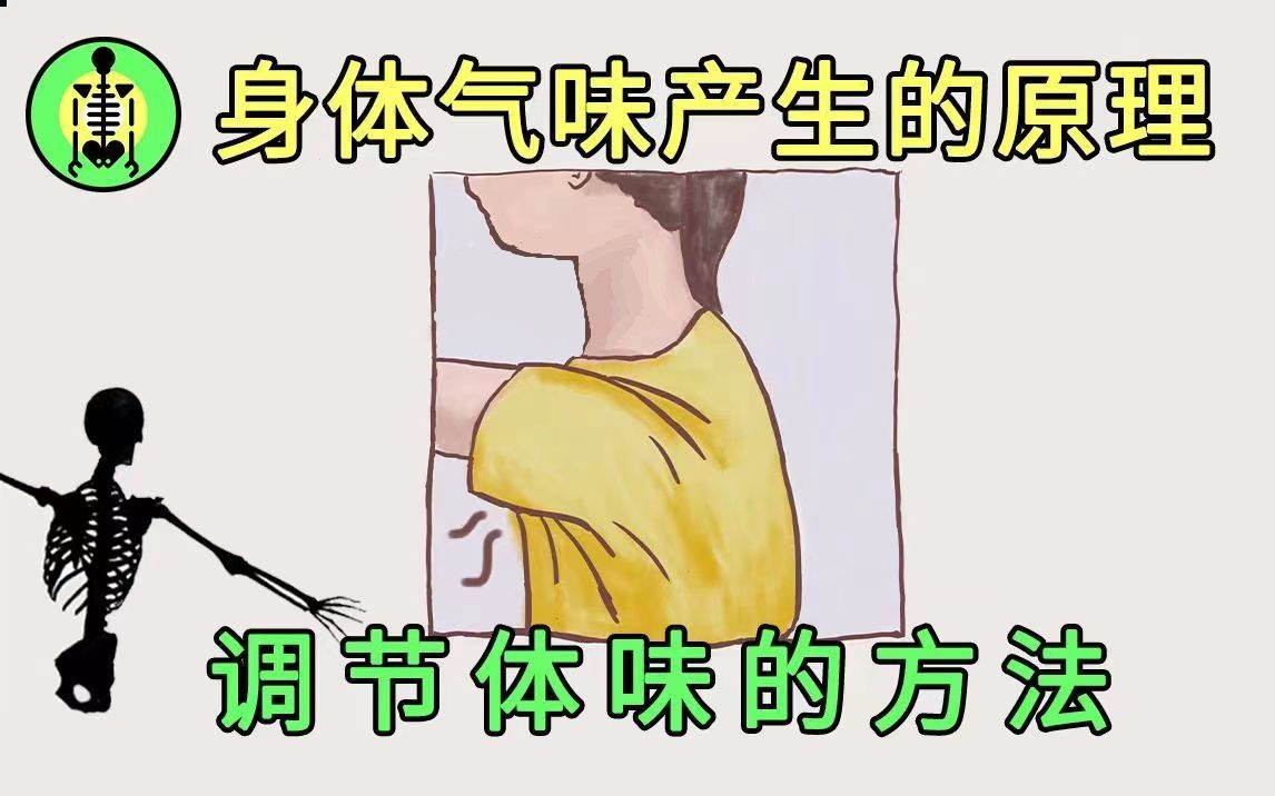 刺鼻体味怎么产生的丨身体使用指南哔哩哔哩bilibili