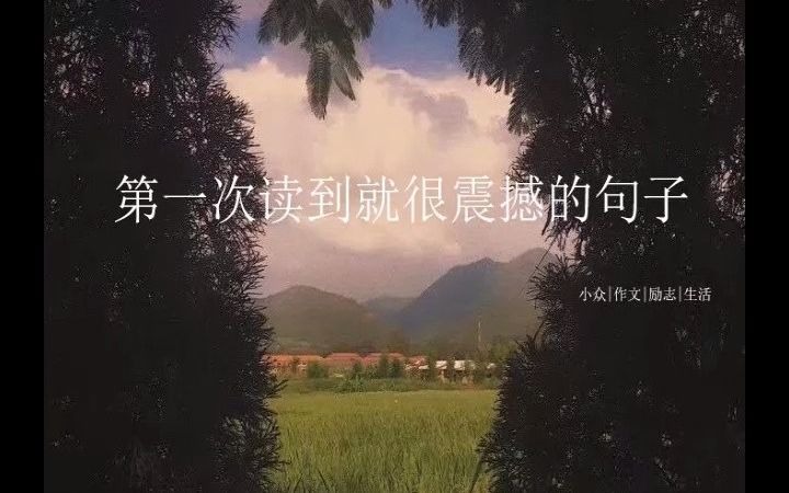 【摘记】第一次读到就很震撼的句子哔哩哔哩bilibili