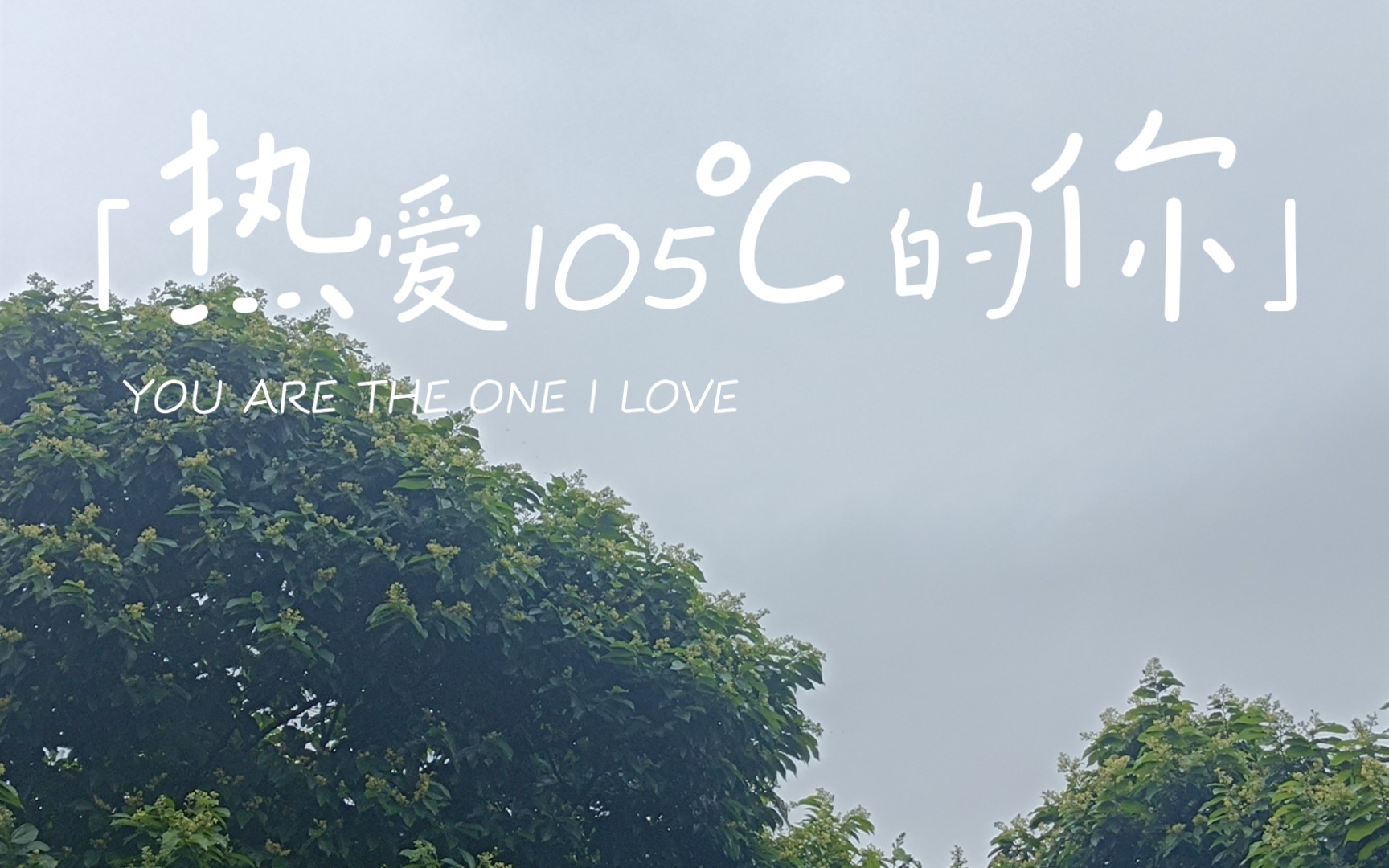 热爱105℃的你