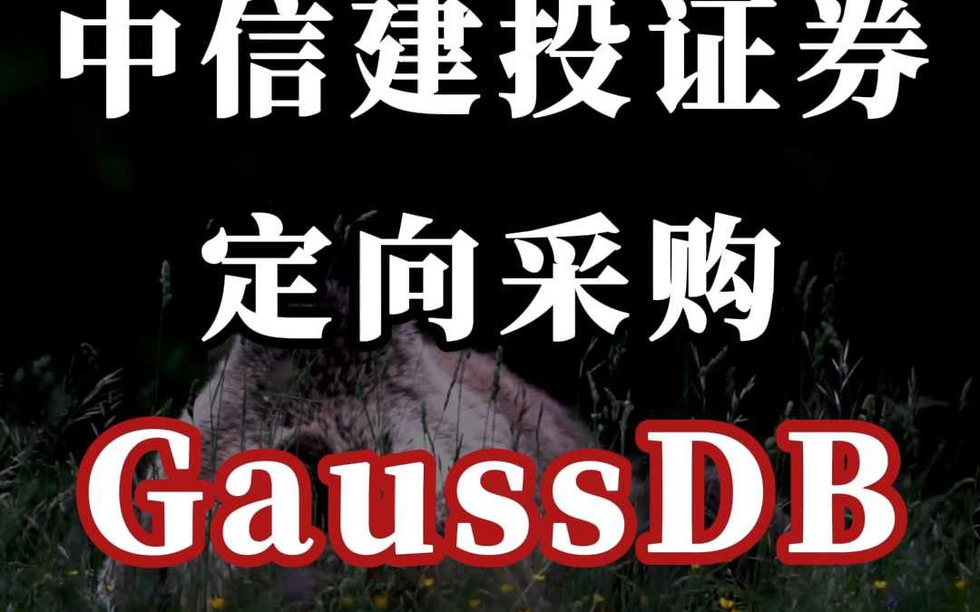 中信建投证券、定向采购:GaussDB 数据库哔哩哔哩bilibili