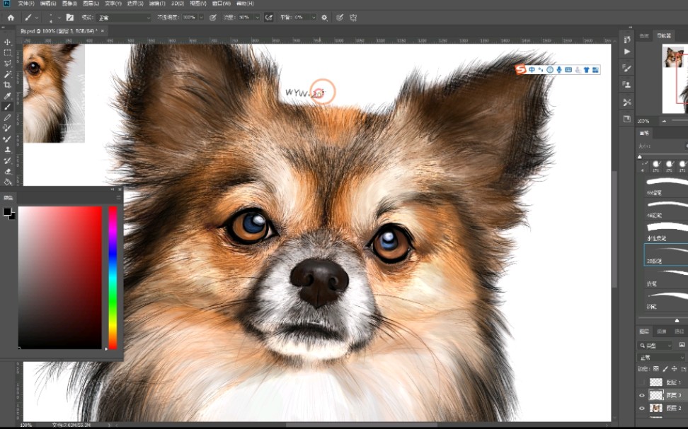 【ps板绘】可爱狗狗绘画过程