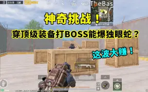 Descargar video: 神奇挑战！穿顶级装备打BOSS能爆独眼蛇？这波大赚