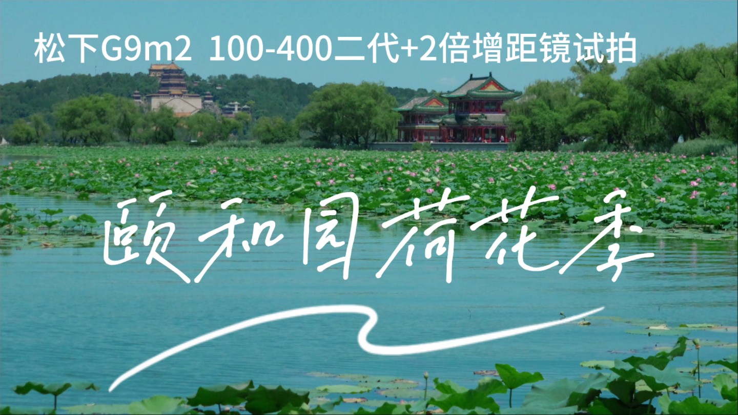 颐和园荷花g9m2 100-400二代加二倍增距镜试拍