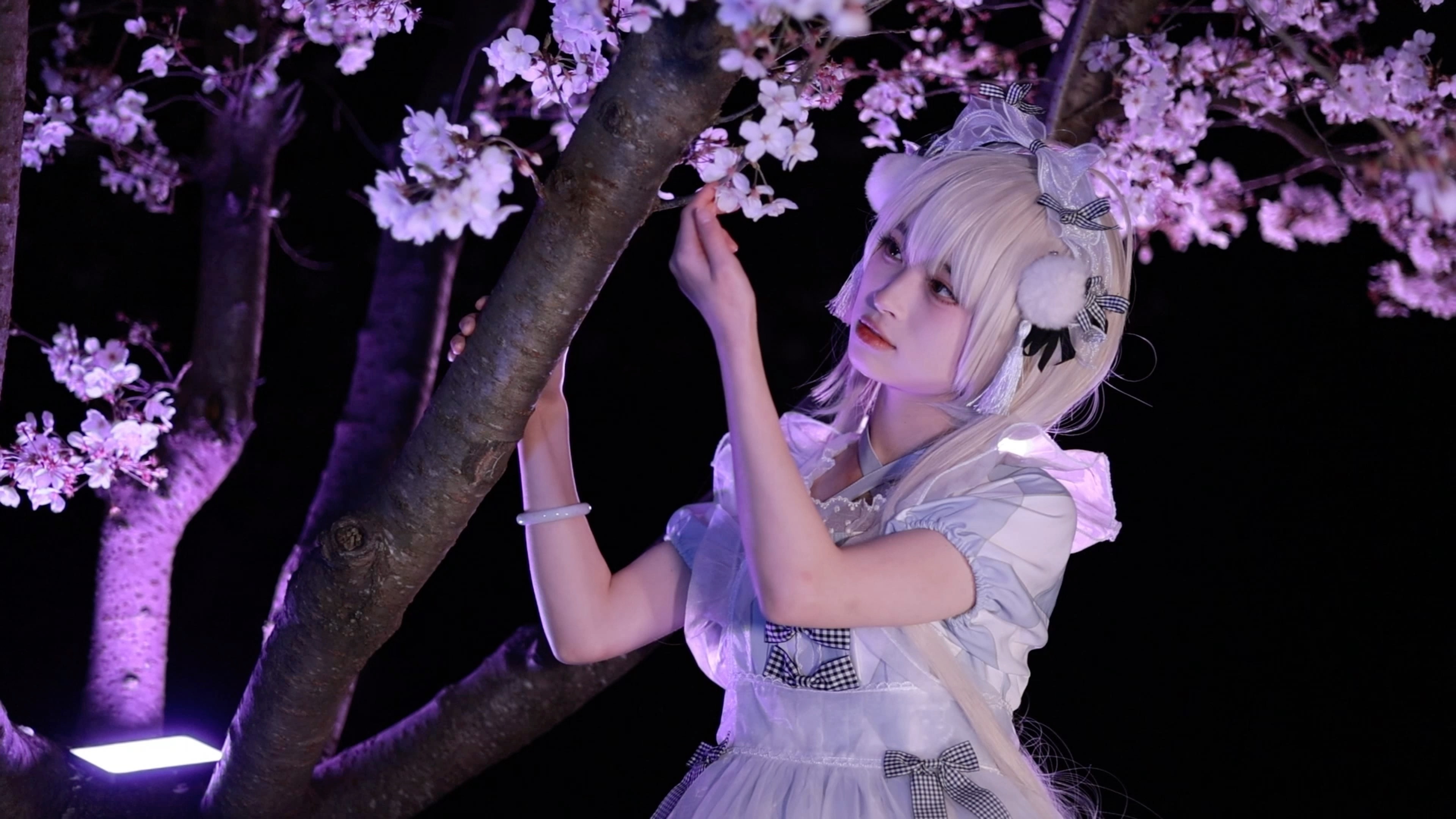 爱丽丝姐姐叶樱