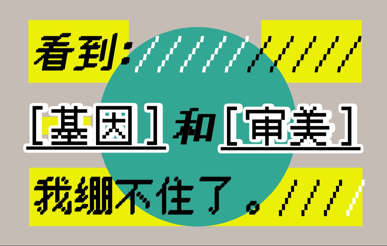 【视频评价】对于审美应当作何认知?!哔哩哔哩bilibili