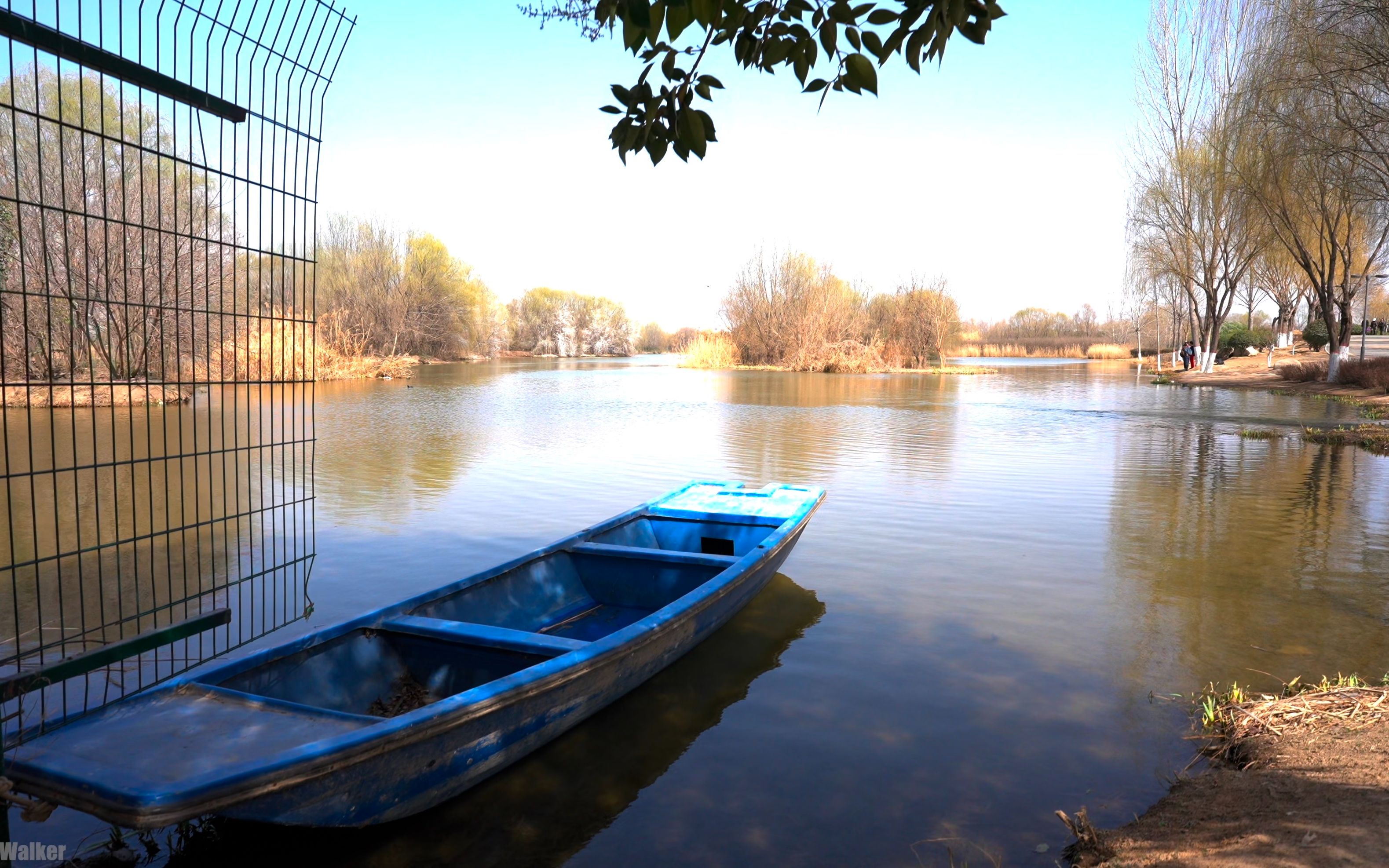 「4K HDR」陕西西安浐灞国家湿地公园早春Xi'an National Wetland Park哔哩哔哩bilibili