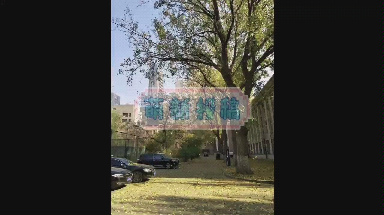 鲁美校区,美丽校园主题剪辑,航拍单反齐上阵哔哩哔哩bilibili