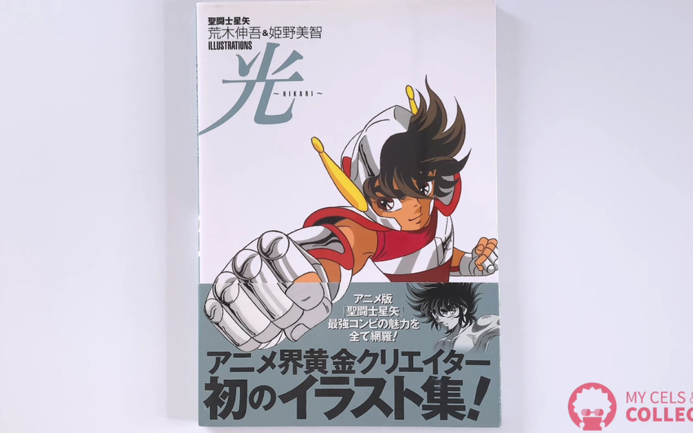 圣斗士星矢画集聖闘士星矢光HIKARI 荒木伸吾姫野美智イラスト画集_哔哩