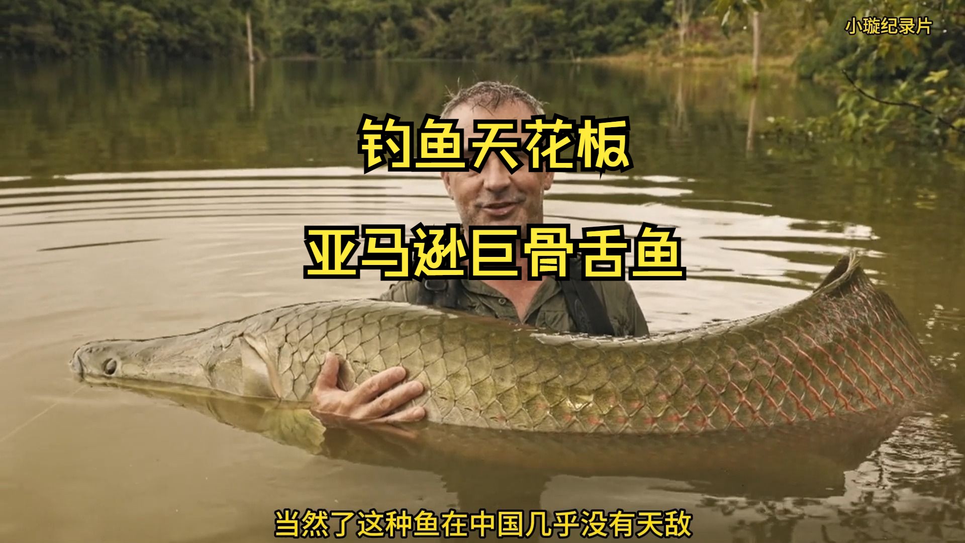 亞馬遜巨骨舌魚