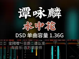 歌词典雅，透露出压抑不住的失落与惆怅！DSD完整版1.36G，百万调音师专业录音棚制作，顶级hifi无损音质