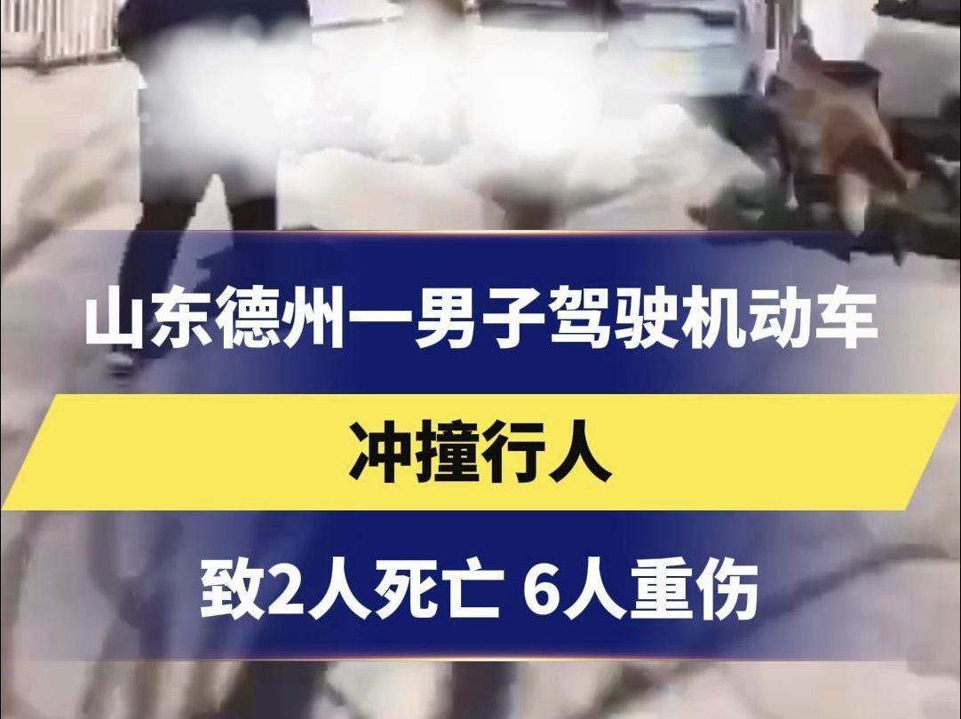 山东德州一男子驾驶机动车 冲撞行人 致2人死亡 6人重伤哔哩哔哩bilibili