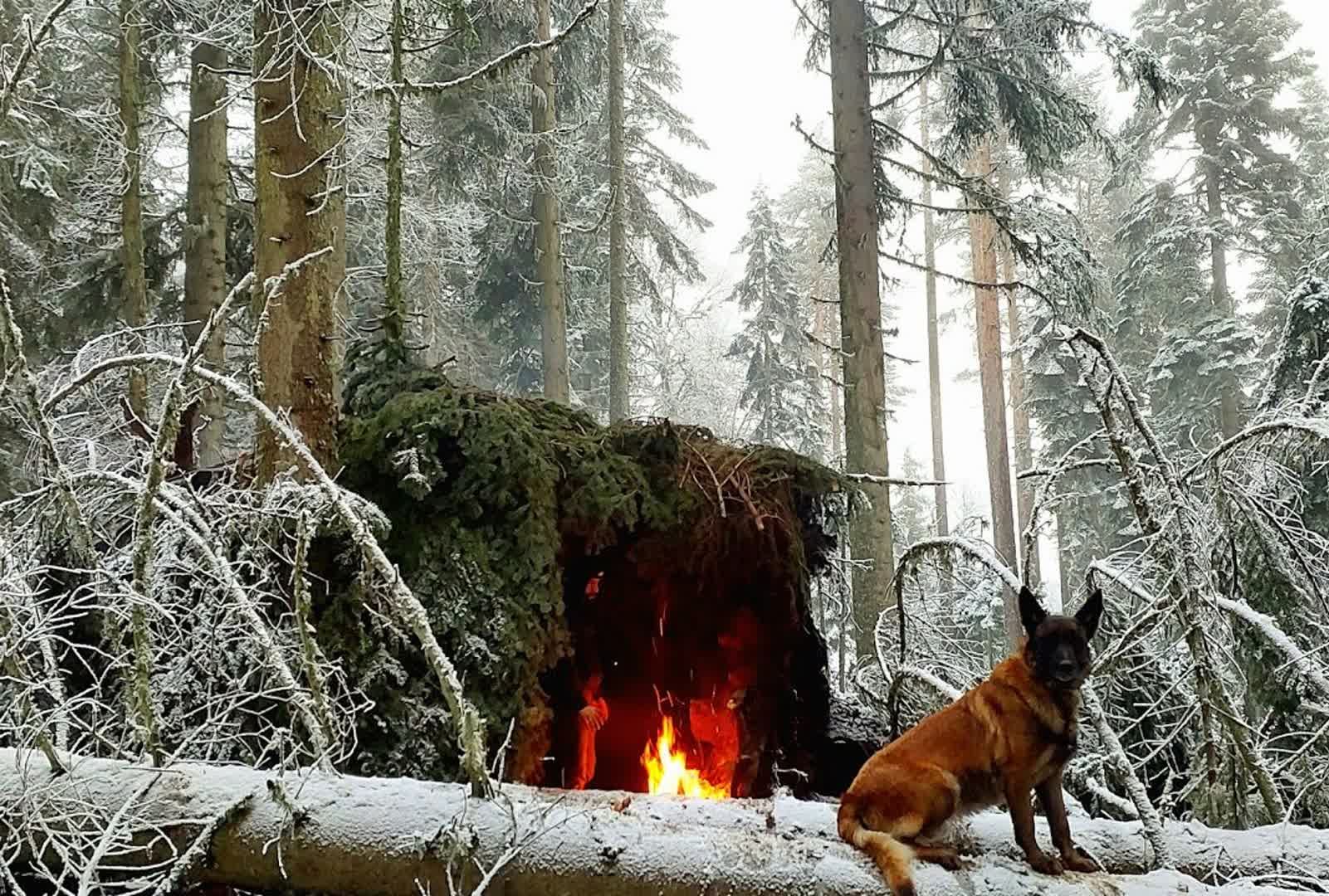 森林里漫天风雪极其寒冷,找了棵倒塌大叔做掩护,搭建出温暖庇护所哔哩哔哩bilibili