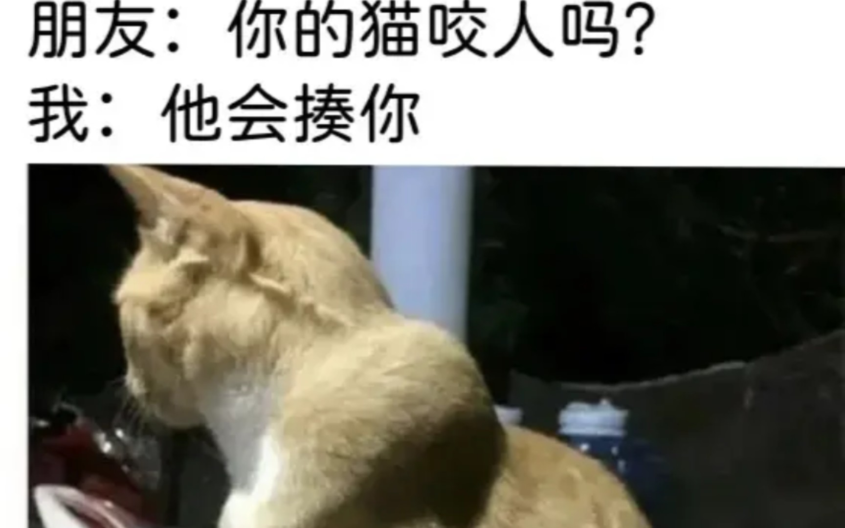 【不要笑挑战】人间真实沙雕梗图 #12