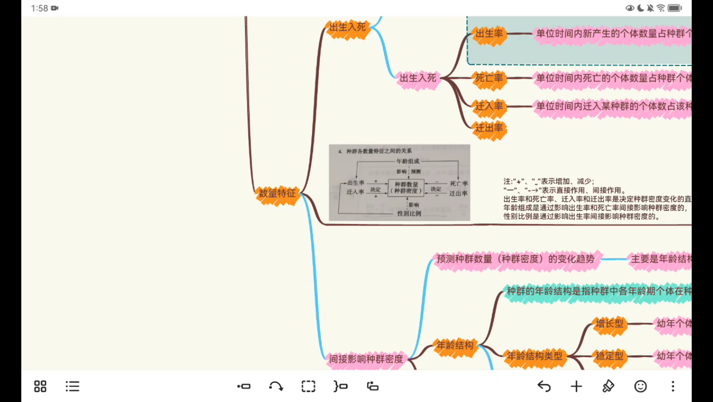 【佑ysy生物學】生態篇·種群·數量特徵(對應生物與環境·種群及其