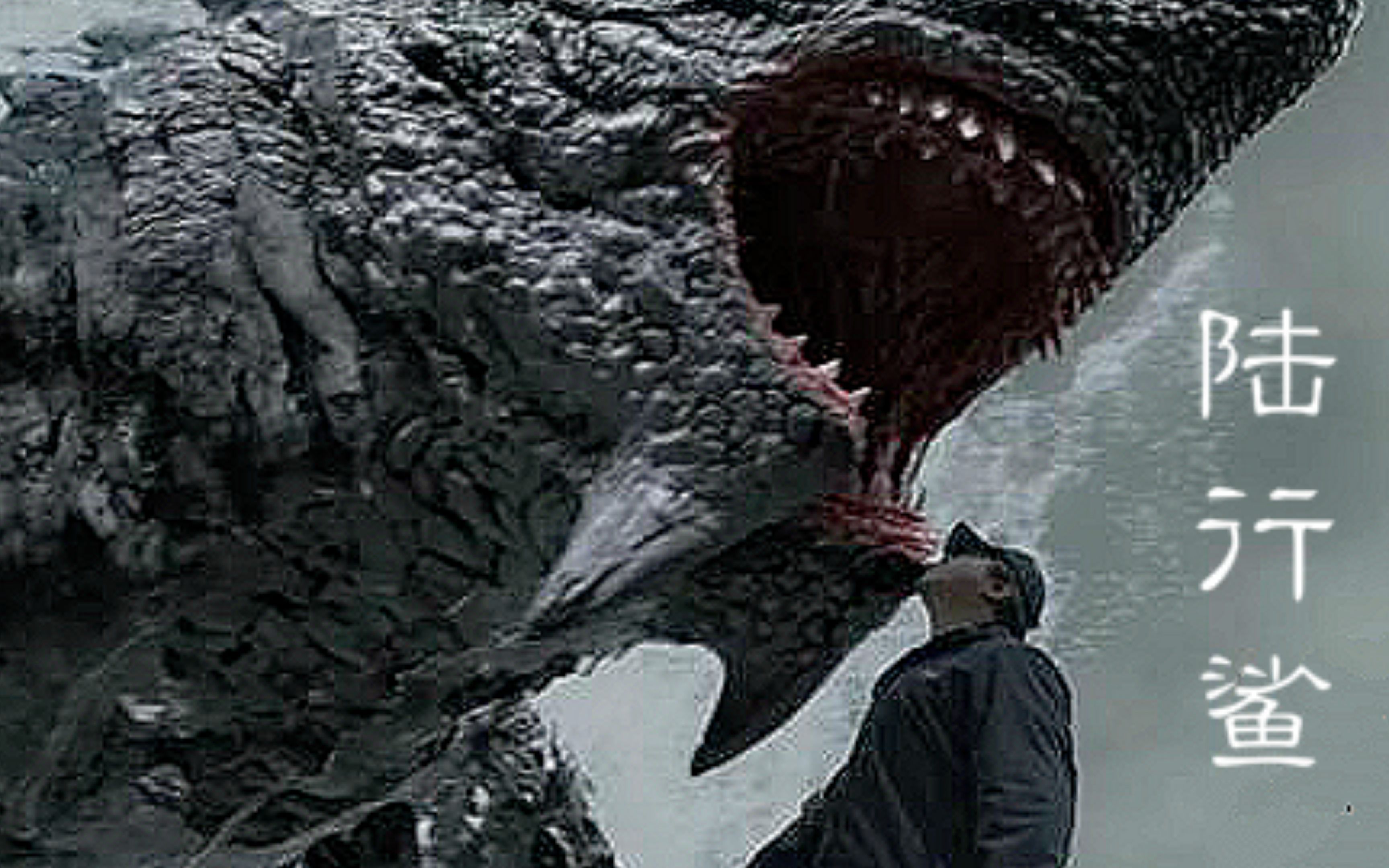 《陆行鲨》在陆地上行走的鲨鱼,你见过吗?_哔哩哔哩_bilibili