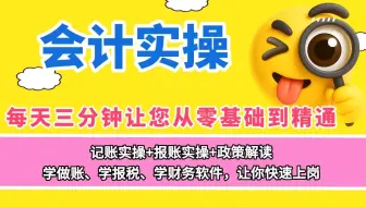 【2025会计实操】零基础实操上岗 软件记账  账务处理  报税  财务报表分析 发票  职业技能提升 财税政策解读