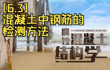 [6.3]混凝土中钢筋的检测方法哔哩哔哩bilibili