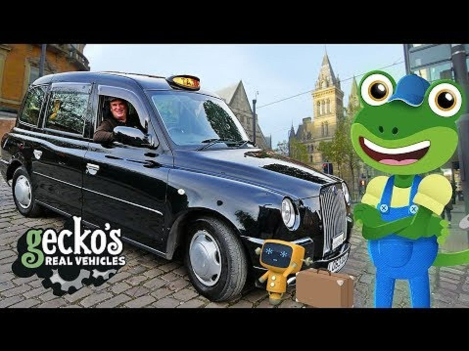 TAXI  出租车  汽车  工程车  真实车辆  Gecko s Real Vehicles  宝宝英语动画哔哩哔哩bilibili