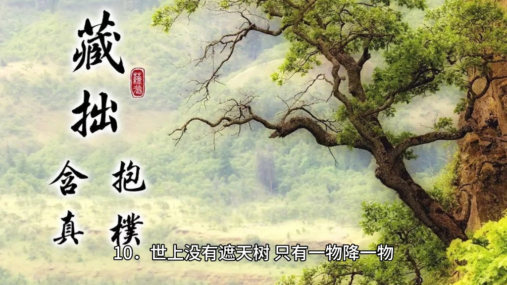 不听老人言吃亏在面前