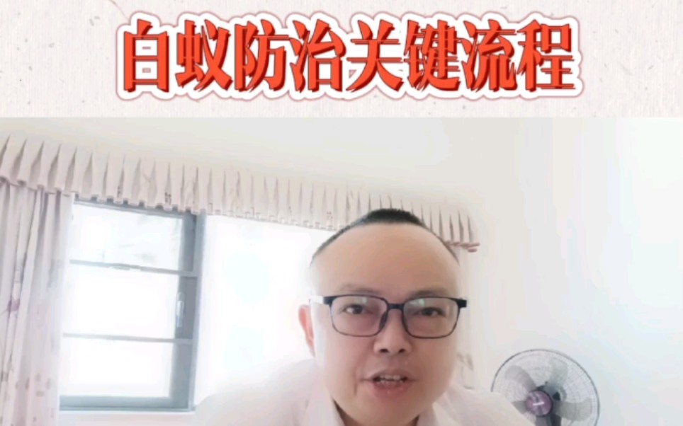 白蚁防治关键流程哔哩哔哩bilibili