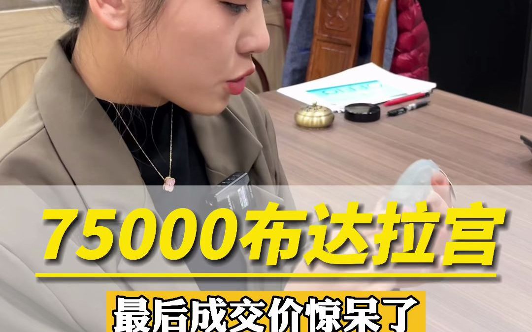 75000布达拉宫,最后成交价惊呆了哔哩哔哩bilibili