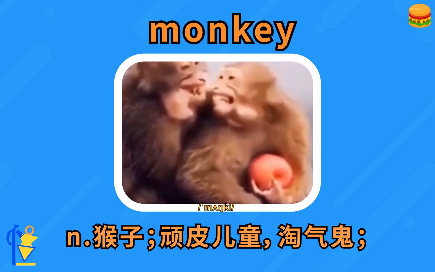 猴子:monkey【英语单词/搞笑英语】哔哩哔哩bilibili