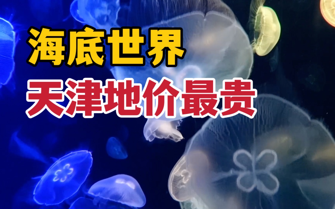 天津市内地价最贵海底世界,200多种海洋生物,体验感怎么样?哔哩哔哩bilibili