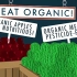 Is Organic Food Worth the Cost?