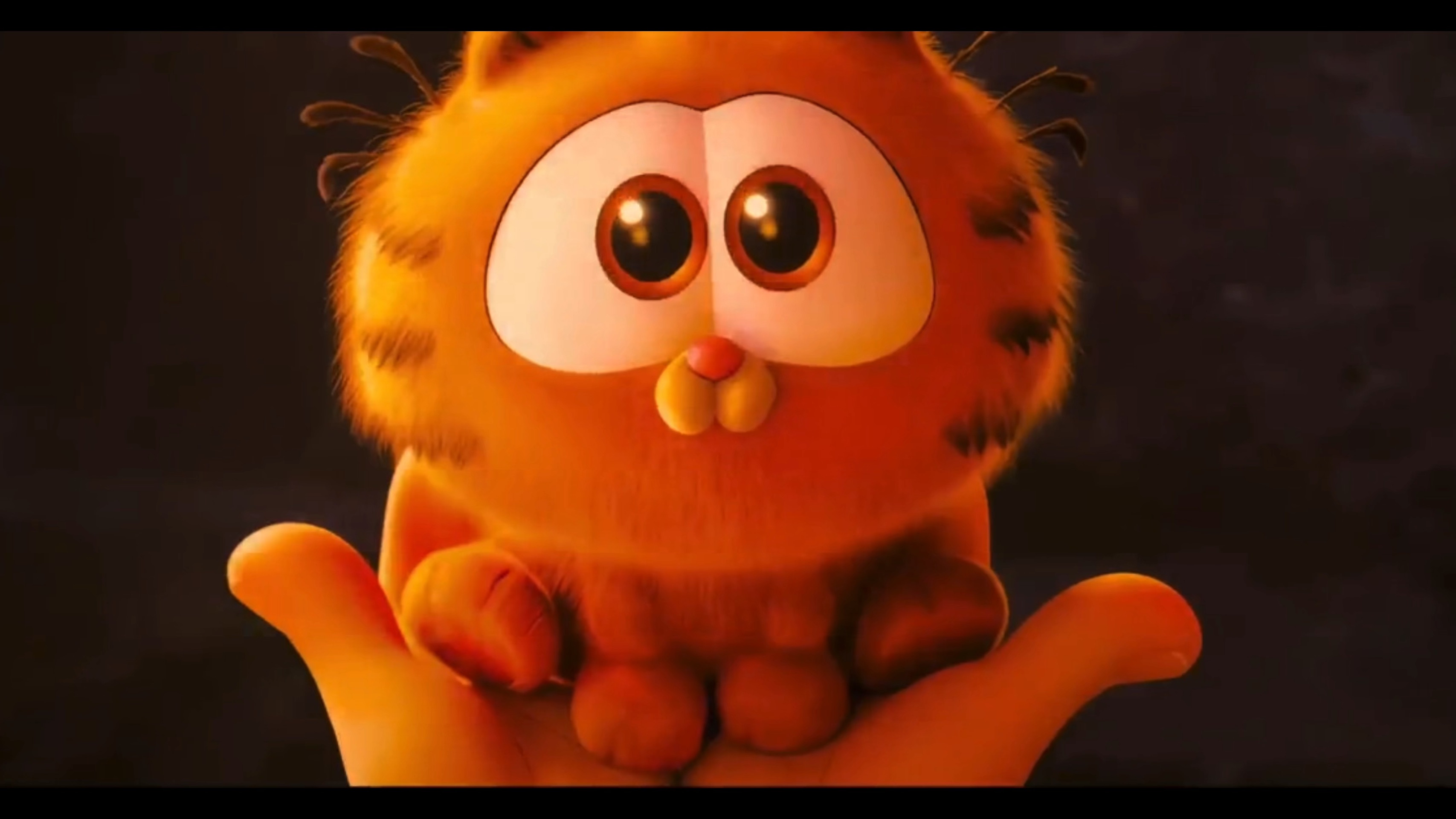 加菲猫家族 中文全译