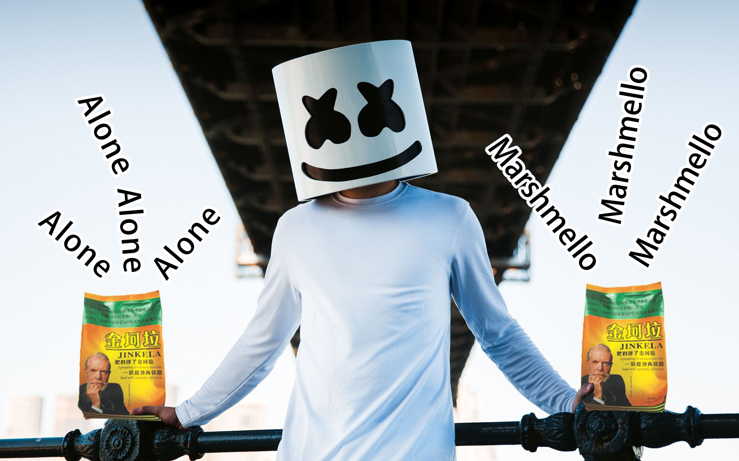 电音金坷垃特别篇alonemarshmello征服全世界的灵魂节奏