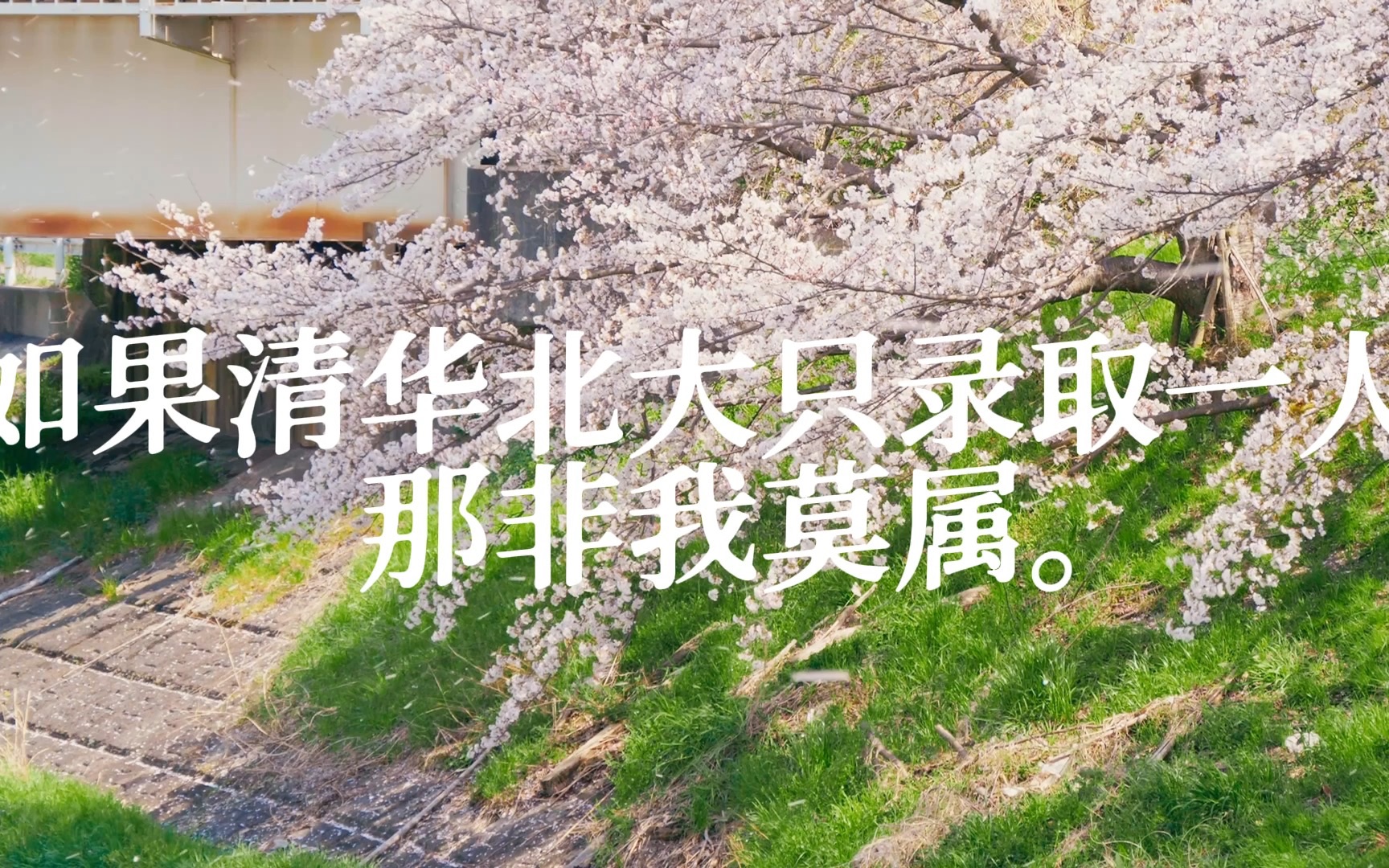 "如果清华北大只录取一人,那非我莫属."【文案朗读】【励志】