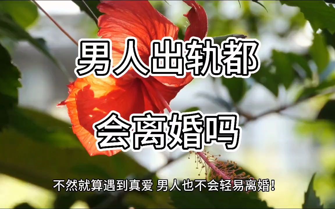 男人出轨都会离婚吗