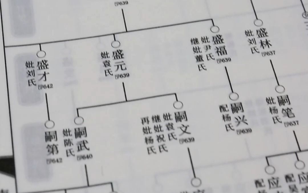 一本家谱,回答了我们哪些人生问题哔哩哔哩bilibili