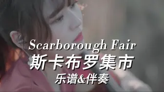 下载视频: 【大提琴谱】斯卡布罗集市 Scarborough Fair 附伴奏