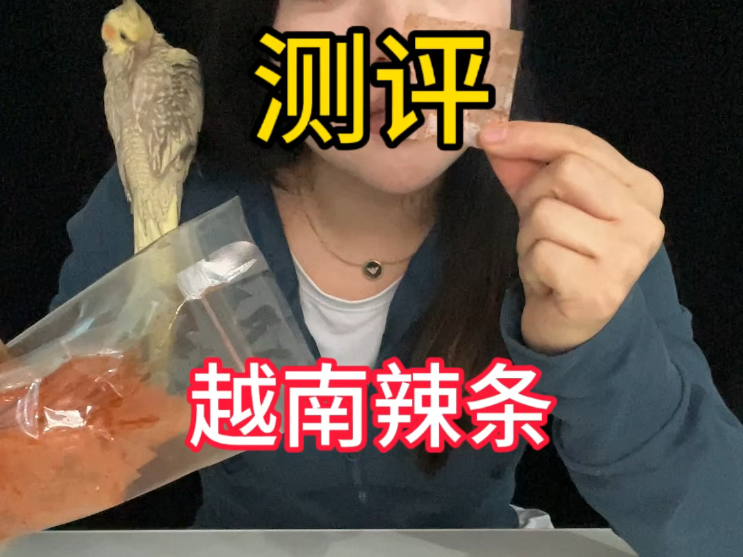 国外的辣条是个什么味道?哔哩哔哩bilibili