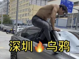 Download Video: “嚣张跋扈”#乌鸦哥 #乌鸦跳车 #张耀扬