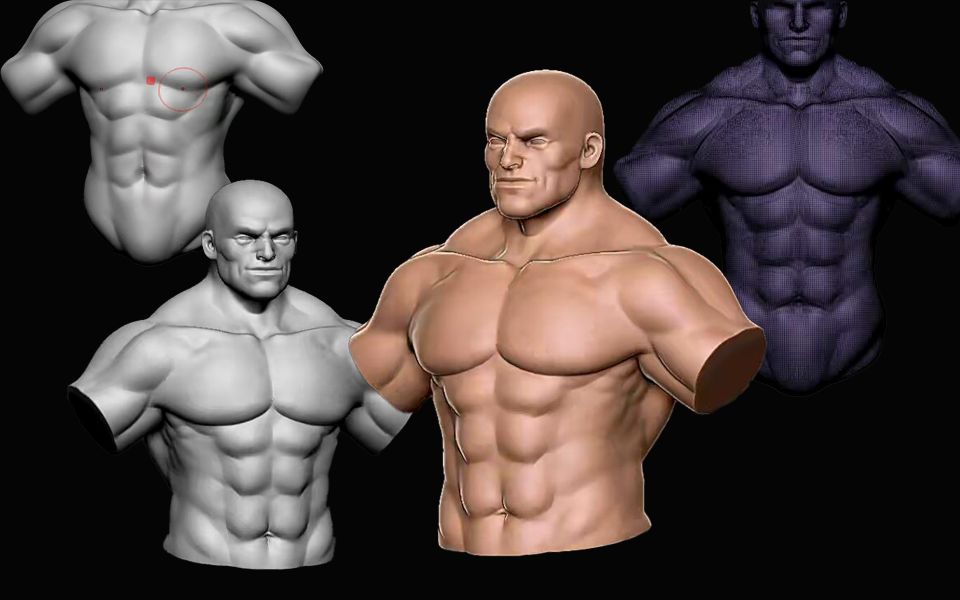 zbrush男性肌肉雕刻(完整版)
