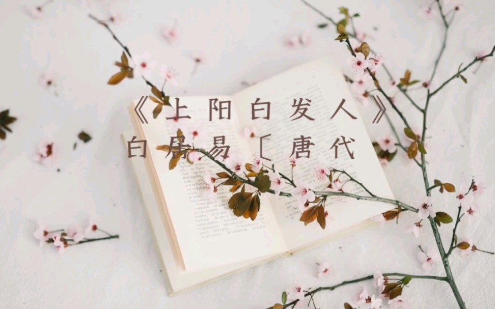 《上阳白发人》——白居易哔哩哔哩bilibili