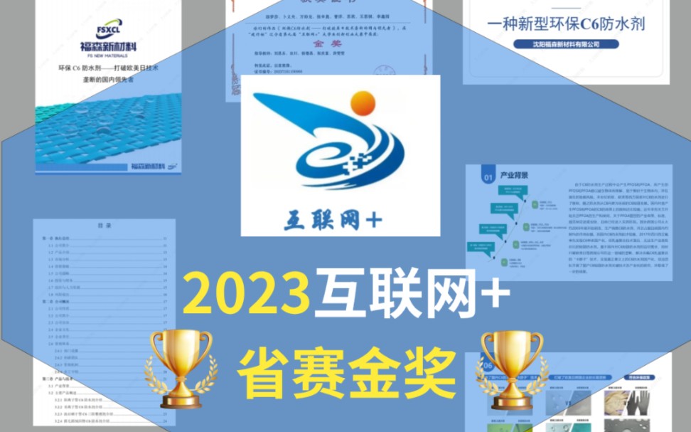 2023互联网+省赛金奖 | 互联网加省赛金奖 | 中国国际大学生创新大赛哔哩哔哩bilibili