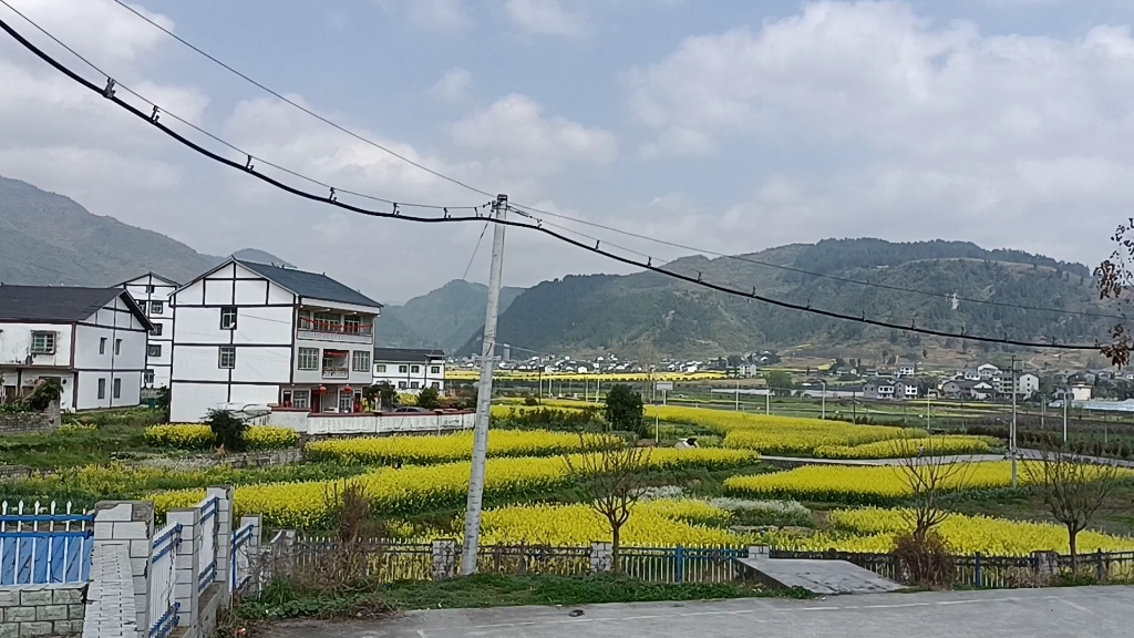 [图]油菜花开的季节～