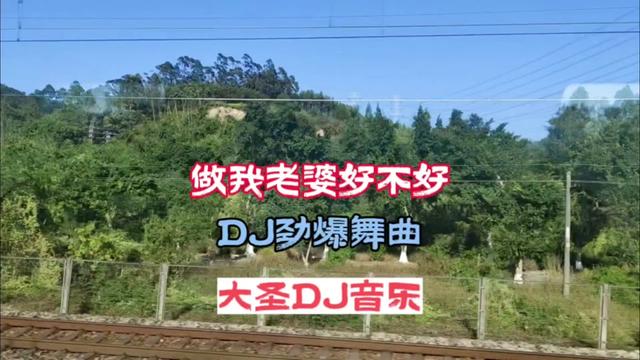 [图]DJ音乐:第225集:做我老婆好不好DJ劲爆舞曲