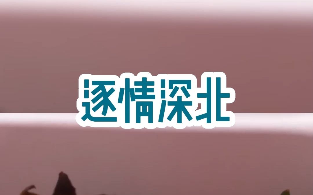 【潇湘书院Pro】逐情深北哔哩哔哩bilibili