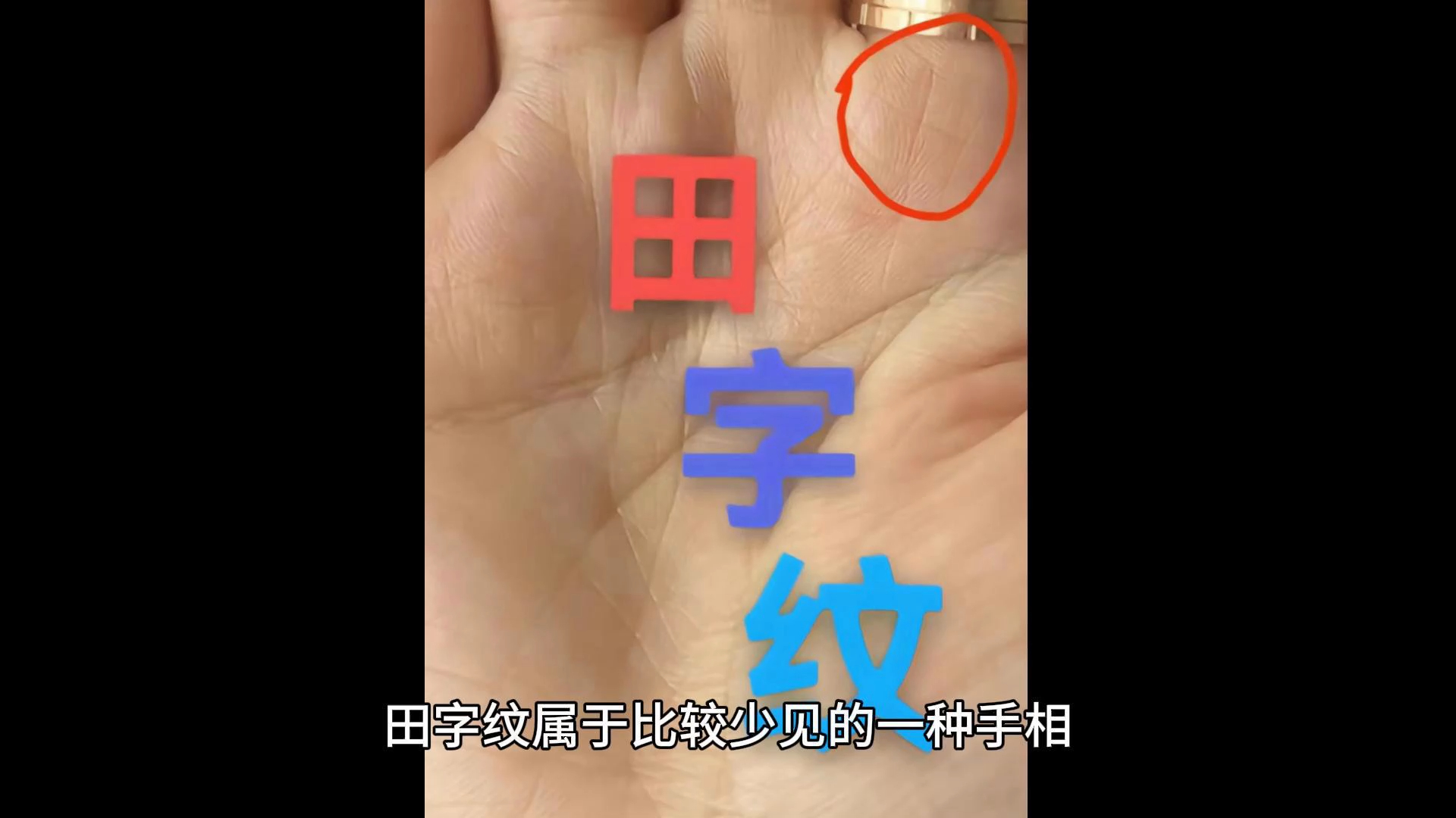 田字纹是什么哔哩哔哩bilibili