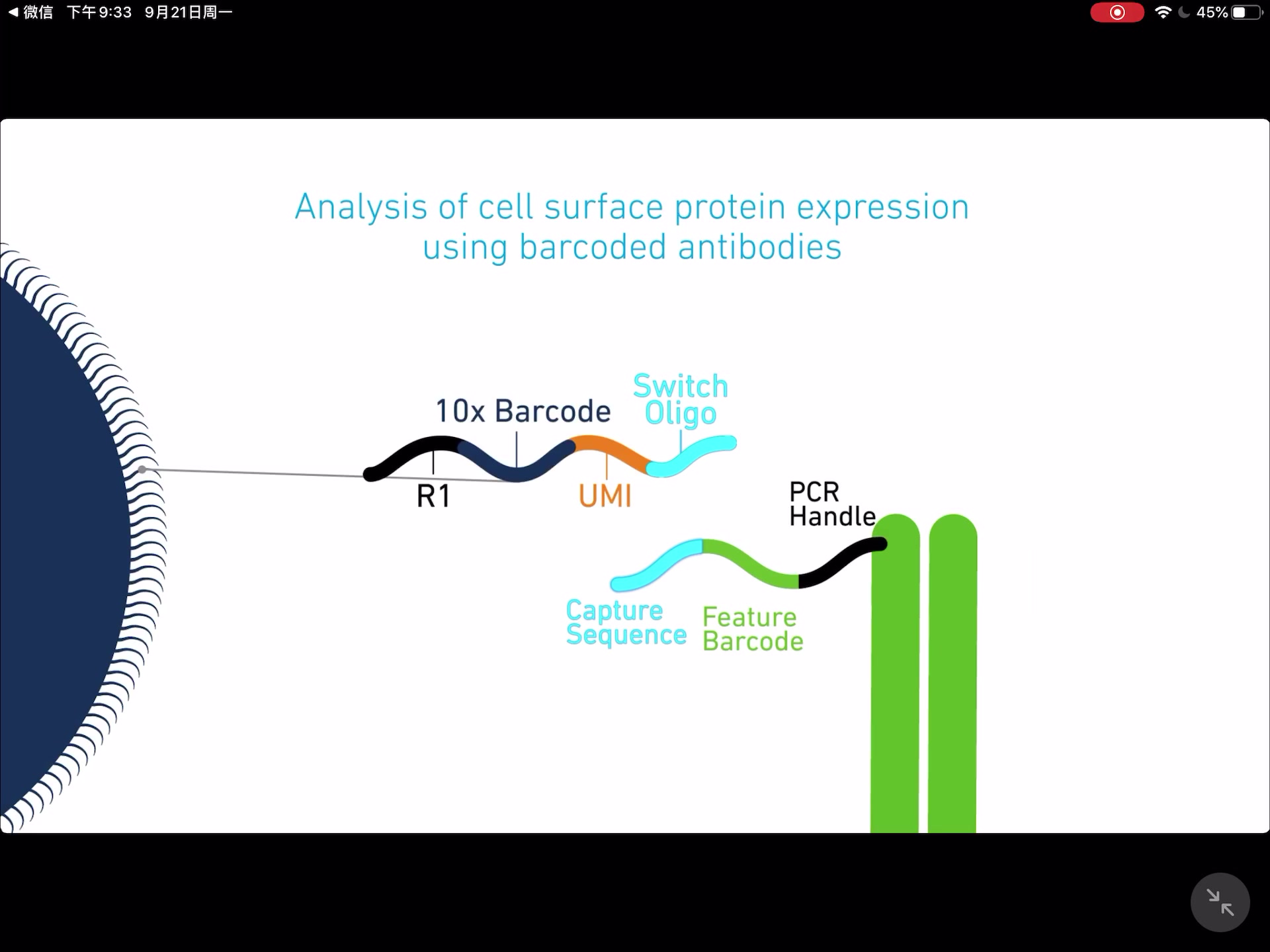 10X genomics单细胞测序1哔哩哔哩bilibili