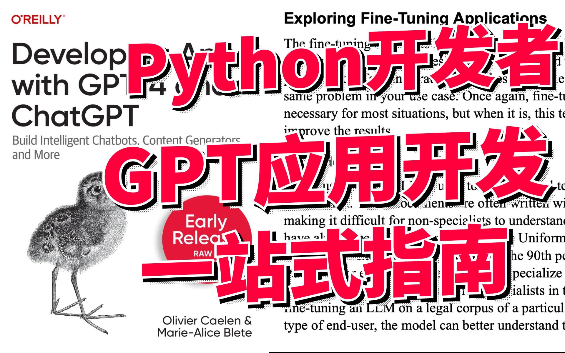 GPT应用开发最全指南!含Python代码示例+案例解析 一站式带你用GPT写App!哔哩哔哩bilibili