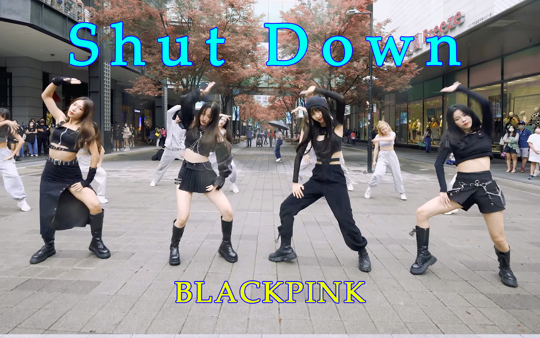 [图]【4K】超多人围观 | 街头翻跳 BLACKPINK-Shut Down