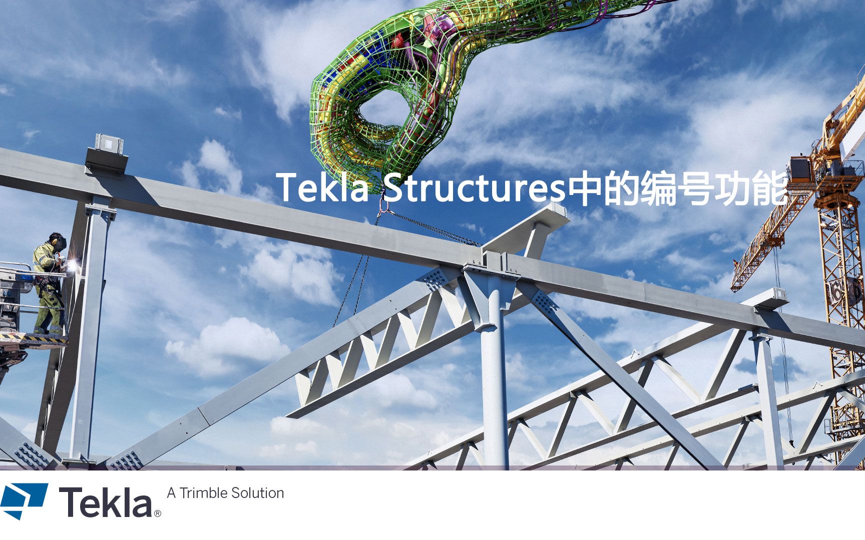 22、Tekla Structures中的编号功能哔哩哔哩bilibili